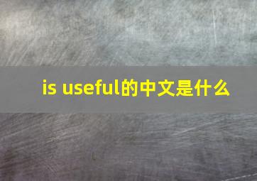 is useful的中文是什么